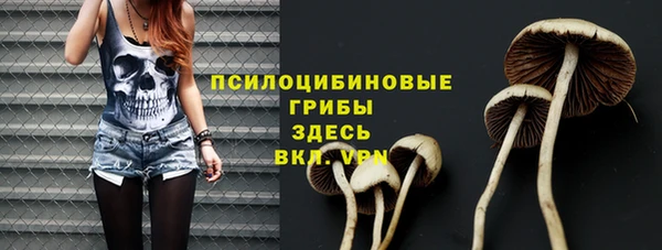 стаф Абдулино