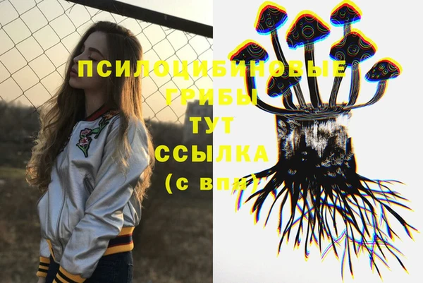 ГАЛЛЮЦИНОГЕННЫЕ ГРИБЫ Наволоки