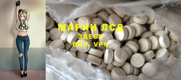 ГАЛЛЮЦИНОГЕННЫЕ ГРИБЫ Алексеевка