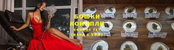 ГАЛЛЮЦИНОГЕННЫЕ ГРИБЫ Алексеевка