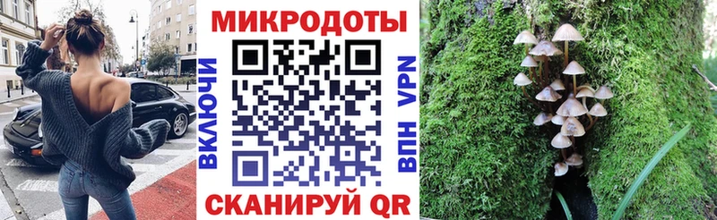 Псилоцибиновые грибы мицелий  Шиханы 